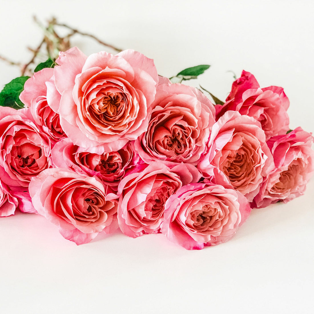 Rosas Wabara | 12 tallos