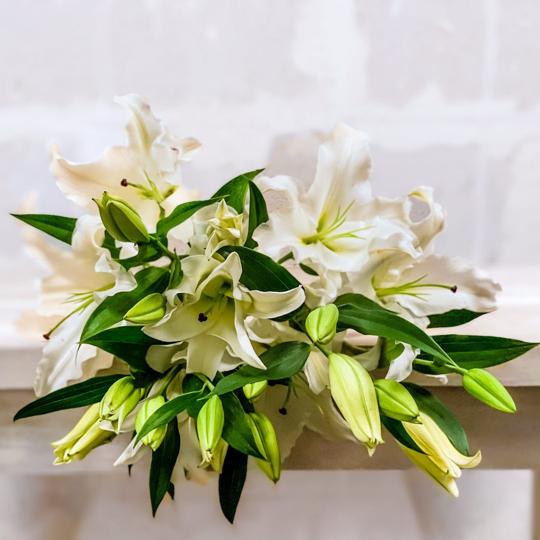 Atado de Casablancas