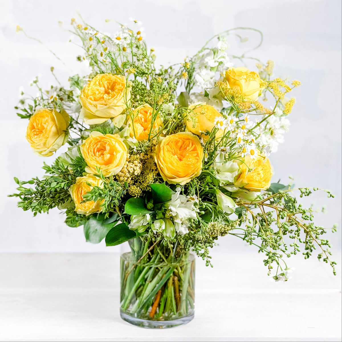 Aurea | Rosa Garden