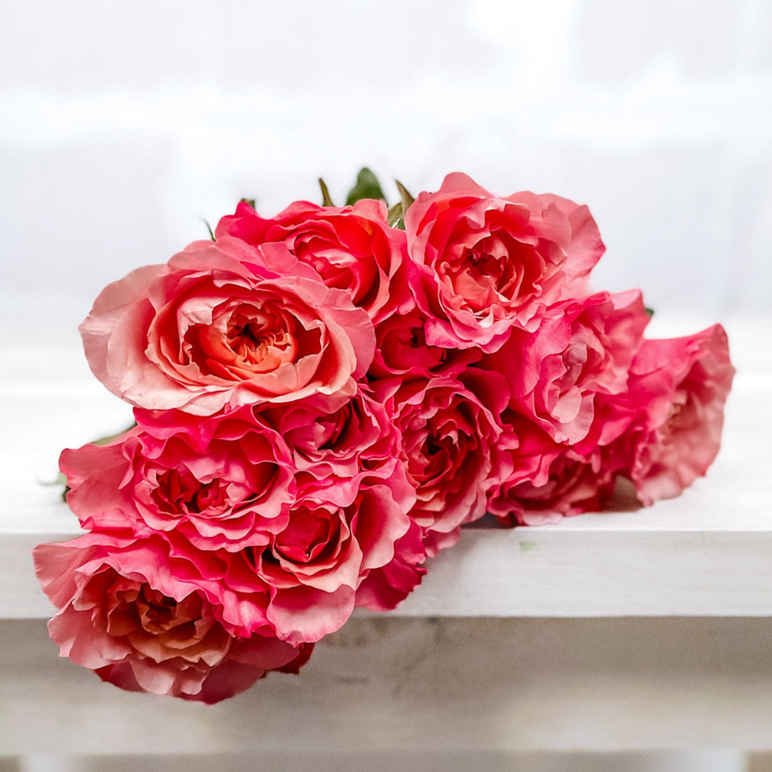 Atado de 12 Rosas Wabara