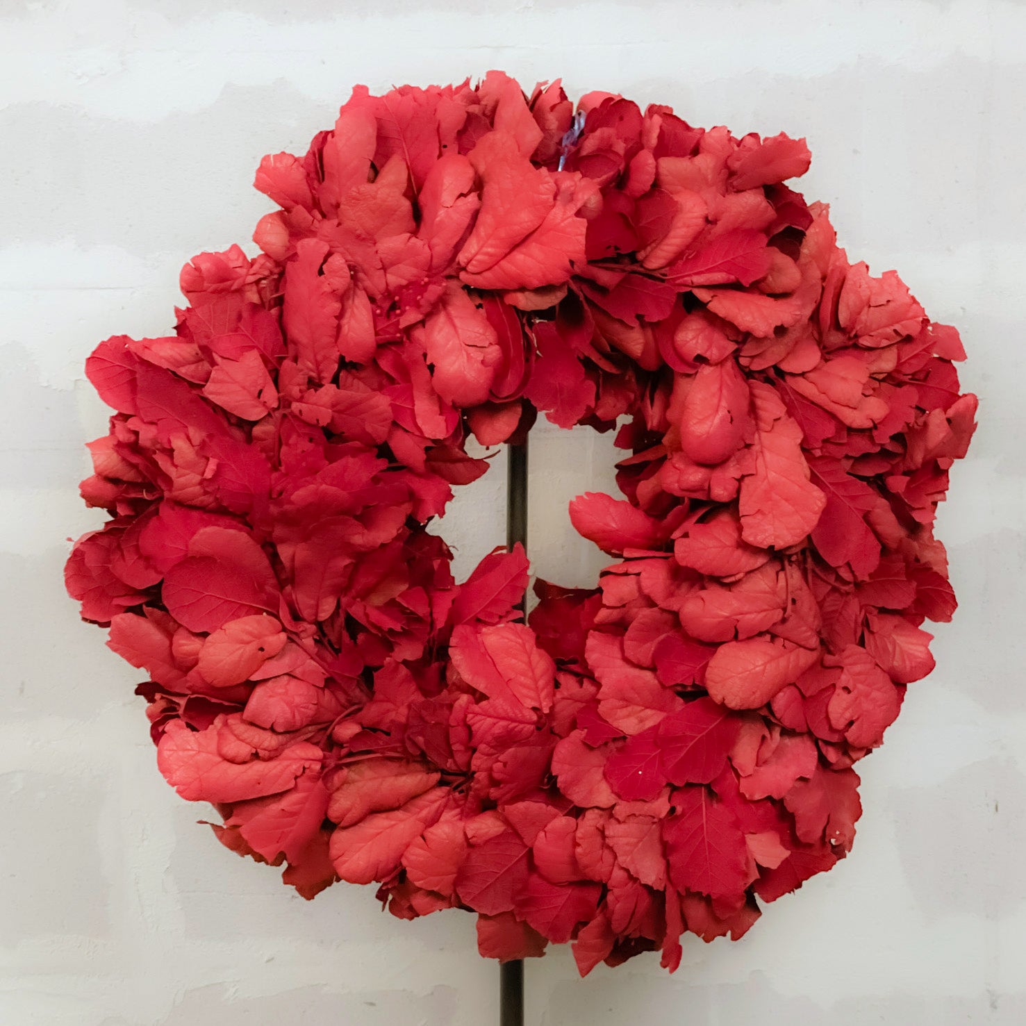 Corona deshidratada para puerta