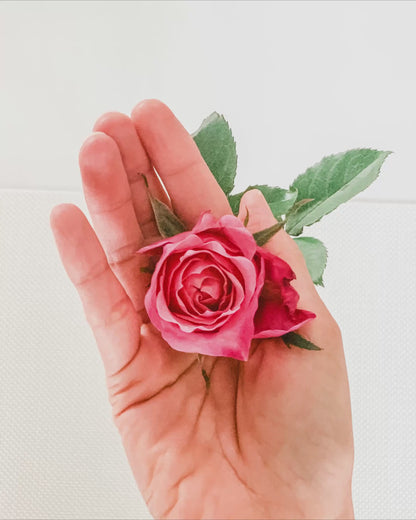 Atado de 12 Rosas Wabara